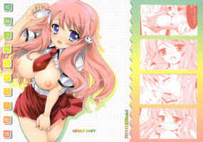 [Kurosawa pict (Kurosawa Kiyotaka)] Himeji-san to Test Benkyou (Baka to Test to Shoukanjuu) [English] [CGrascal]