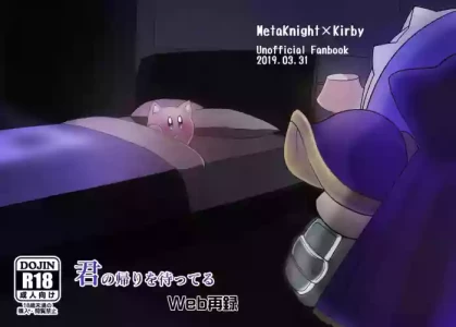 [Mishiki] Waiting for you to come back (Meta Knight x Kirby)