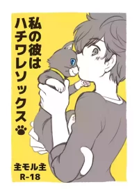 [Aniki Otokodou (Kirigakure Takaya)] 私の彼はハチワレソックス (Persona 5) [Digital]