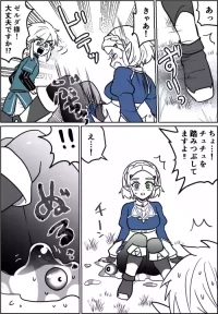 [わさび ] チュチュの事故 (ゼルダの伝説)