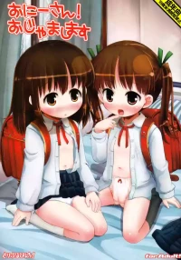 (COMIC1☆6) [Triple Pinch! (Hikami Izuto)] Onii-san! Ojamashimasu [Decensored]