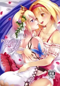 (C95) [Memoria (Tilm)] Princess is Seeking Unknown (Granblue Fantasy) (MTL)