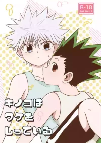 (Re:HUNTER 10) [Kizuguchi wa Nurasanai (Gyonii)] Kinoko wa Wake o Shitte Iru (Hunter x Hunter)
