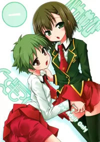 (C75) [Ndemotte (200X ZOOM, KOIZUMI)] Baka Narabi (Baka to Test to Shoukanjuu)