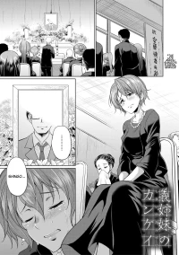 The Relationship of the Sisters-in-Law [Gekka Kaguya]