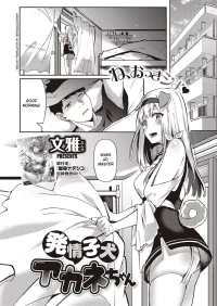 Hatsujou Koinu Akane-chan [Fumi Miyabi]