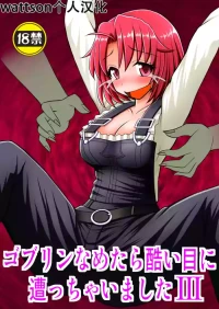 [Asanoya (Kittsu)] Goblin Nametara Hidoi Me ni Acchaimashita III (Goblin Slayer) [Chinese] [Digital]