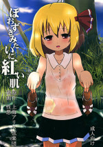 (C80) [Wasshoi☆Koubou] Hoozuki Mitai ni Akai Hada (Touhou)