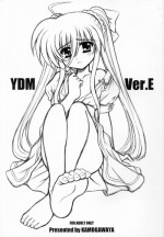 (Nanoha Party 3) [Kamogawaya (Kamogawa Tanuki)] YDM Ver.E (Mahou Shoujo Lyrical Nanoha)