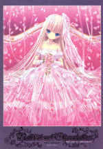 [Rabbit] habit net chronicles 2nd volume