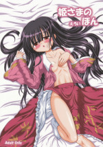 (Reitaisai 5) [Schwester (Inasaki Shirau)] Hime-sama no Eroi Hon (Touhou Project)
