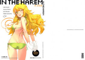 (C81) [Shoujo Kishidan (Oyari Ashito)] IN THE HAREM A SIDE (THE iDOLM@STER)