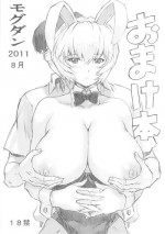 (C80) [Nakayohi Mogudan (Mogudan)] Nakayohi Mogudan 2011 Natsu Omakebon (Neon Genesis Evangelion)