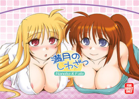 [ARCTIC PAN (Shaa Peipei)] Mangetsu no Shiwaza (Mahou Shoujo Lyrical Nanoha) [Digital]