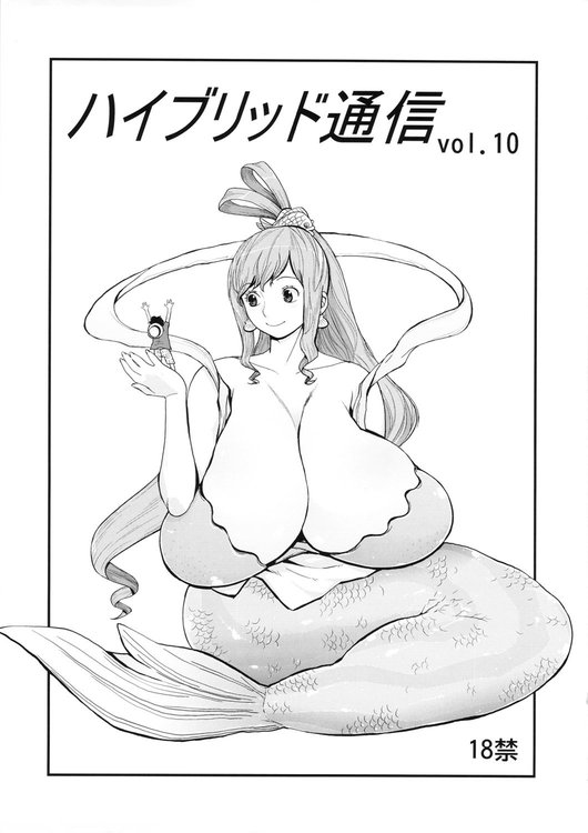 (COMIC1☆6) [Hybrid Jimushitsu (Muronaga Char siu)] Hybrid Tsuushin Vol.10 (One Piece, Queen's Blade)