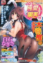 Jun-ai Kajitsu 2010-11 Vol.31 [Digital]