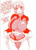 [J's Style (Jamming)] LUNA STLIKE Prototype (Gundam SEED Destiny)