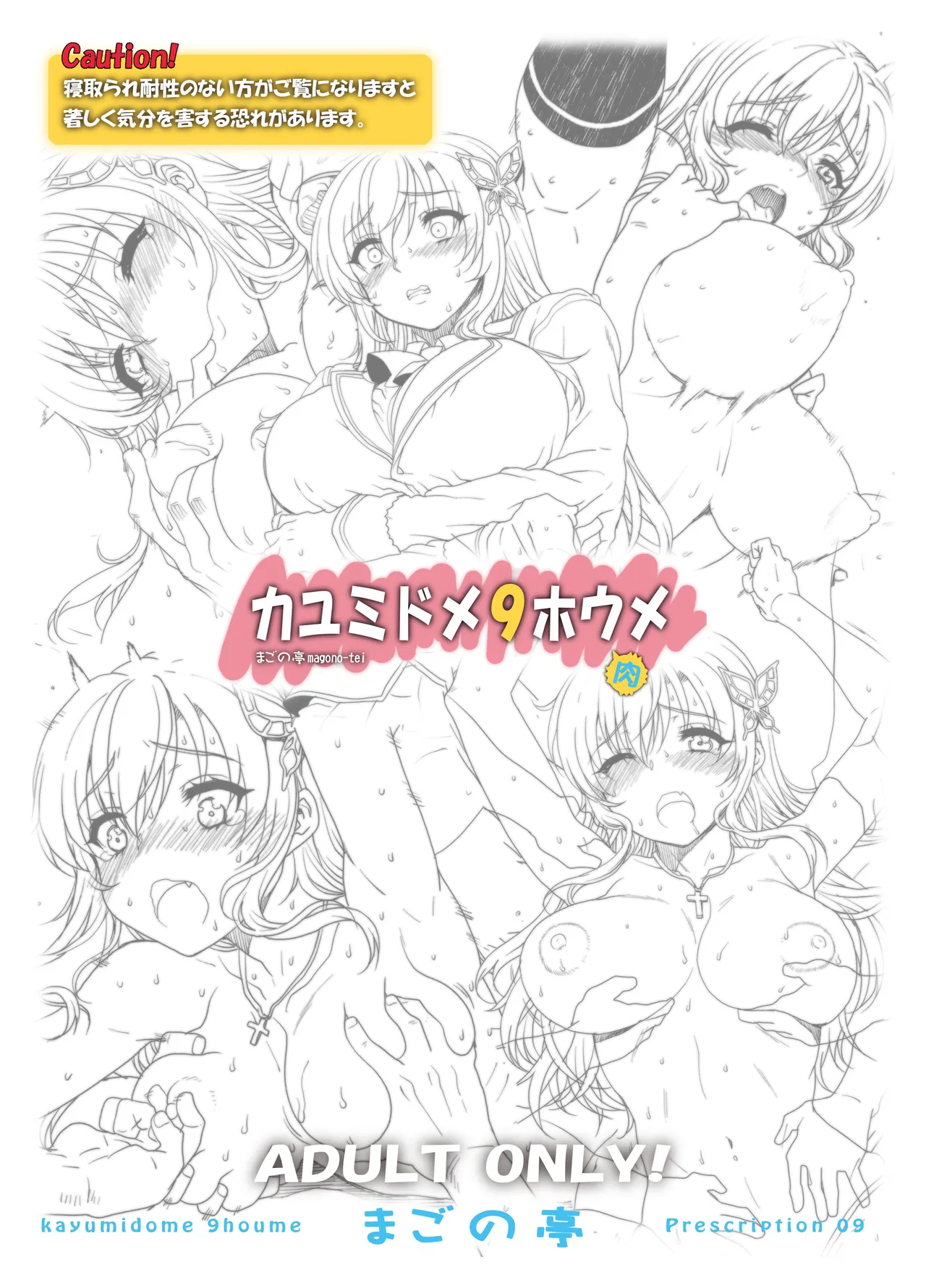カユミドメ おまとめ処方版 – पृष्ठ 351
