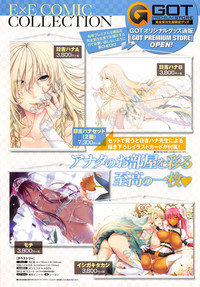 COMIC EXE 01 – 12