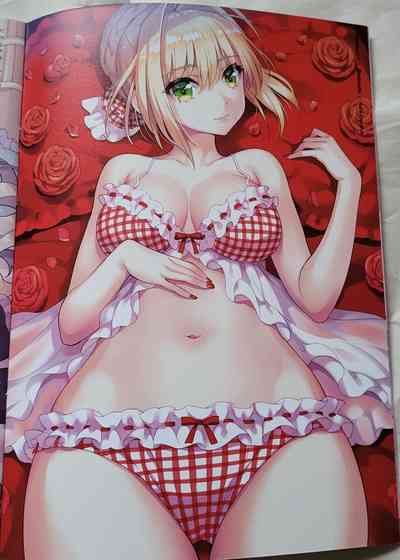 [Erimo] Bedrooms[fate grand order ] sample – 11