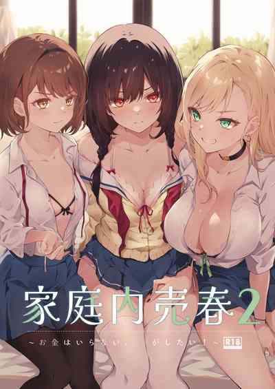 家庭内売春2 NICOLAI [Chinese] [透明声彩汉化组] – 1
