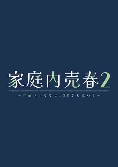 家庭内売春2 NICOLAI [Chinese] [透明声彩汉化组] – 2