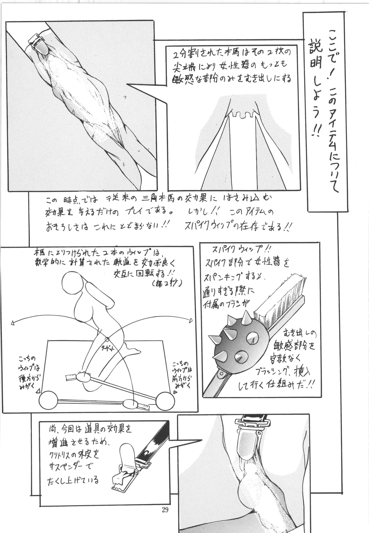 (C51) [アルゴラグニア (巫代凪遠)] 邪道王 (ファイターズインパクト) – 29