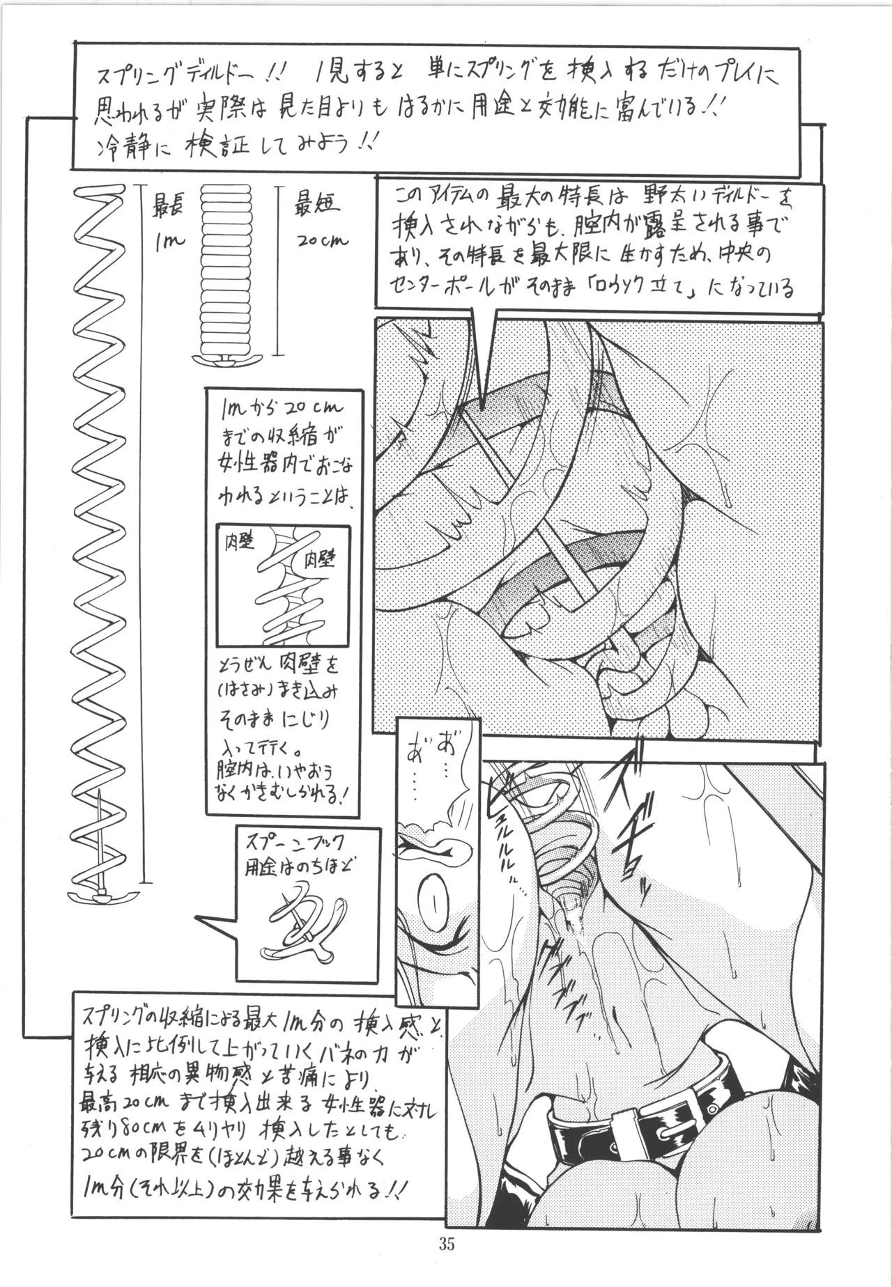 (C51) [アルゴラグニア (巫代凪遠)] 邪道王 (ファイターズインパクト) – 35