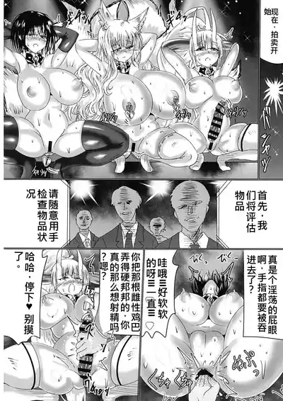 [星霜待機 (新川豊一)] 神隷競売(機翻渣翻) – 21