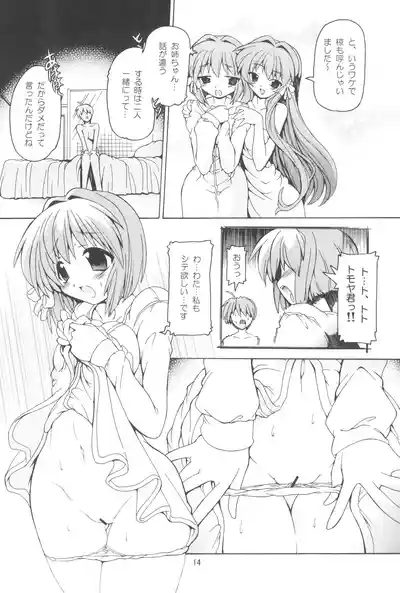 (COMIC1☆4) [Nekoranbu (Minako Nami)] Kura Hon Kyou Ryou (CLA – 13